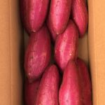 今後の出荷予定について