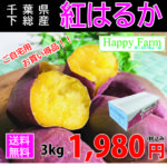 商品内容をリニューアルしました