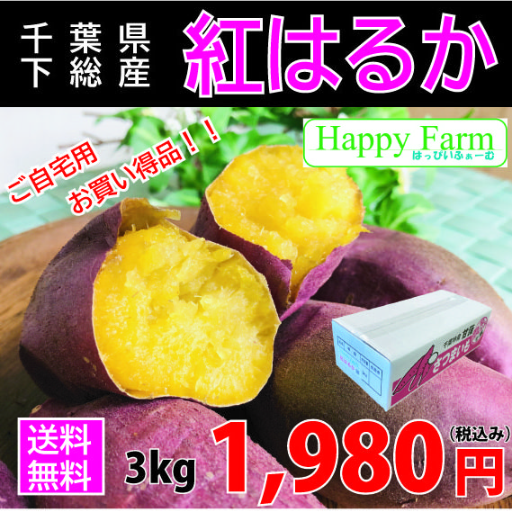 商品内容をリニューアルしました