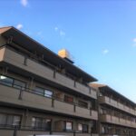 【ベランダ栽培OK】賃貸でも家庭菜園を楽しむ方法や注意点を解説！