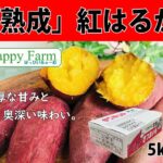 熟成紅はるか 販売終了のお知らせ