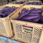 2025年産「熟成」紅はるか　いよいよ販売終了！　