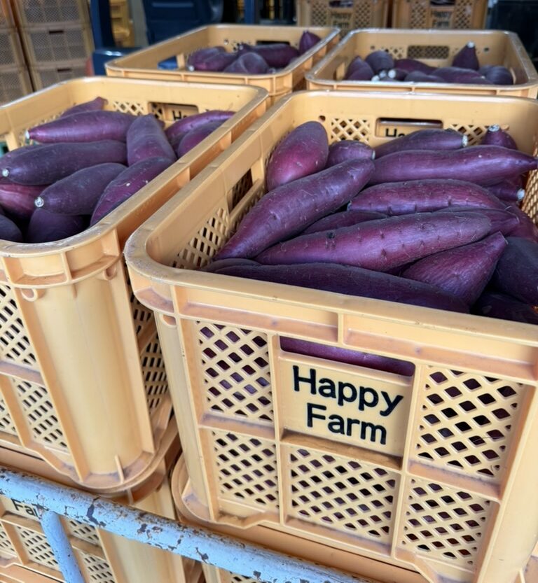 2025年産「熟成」紅はるか　いよいよ販売終了！　